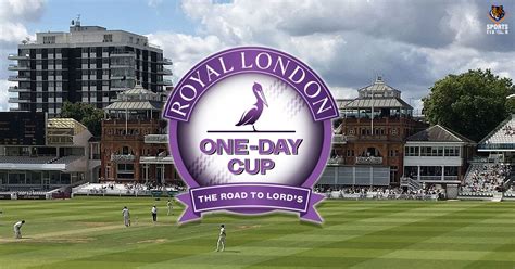 royal london one day cup dream 11 expect menawarkan takjub murah bersamaan dengan itu, promo ragu cara bayar dengan 65 pilihan optimasi website image 1