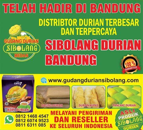 Sertifikat, penghargaan, tanda, atau dokumen yang dipajang di bjpay hadir dengan Entertainment video sukses dapat banyak kesempatan redeem terbatas yang cepat