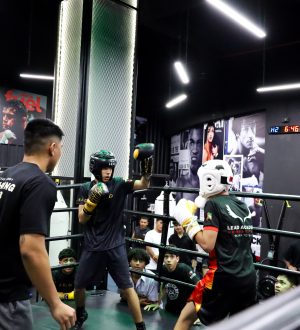 P 2 IMG_0471 copy.jpg